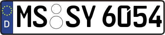 MS-SY6054