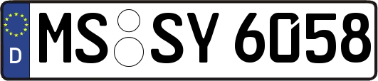 MS-SY6058