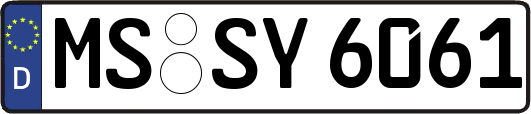 MS-SY6061