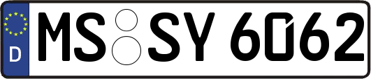 MS-SY6062