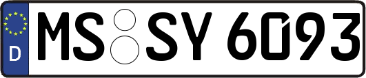 MS-SY6093