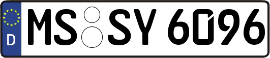 MS-SY6096