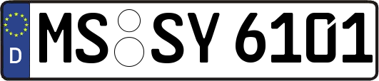 MS-SY6101