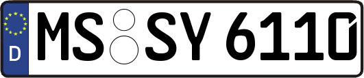 MS-SY6110