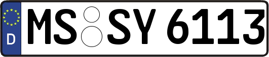 MS-SY6113