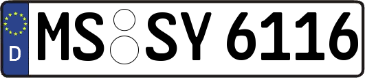 MS-SY6116