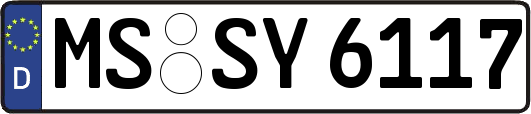 MS-SY6117