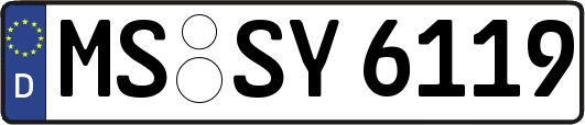 MS-SY6119