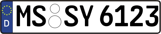 MS-SY6123
