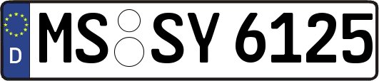 MS-SY6125