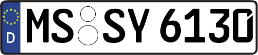 MS-SY6130