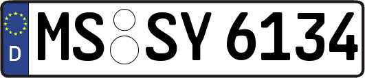 MS-SY6134