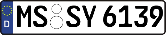 MS-SY6139