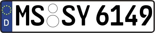 MS-SY6149