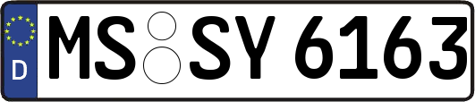 MS-SY6163