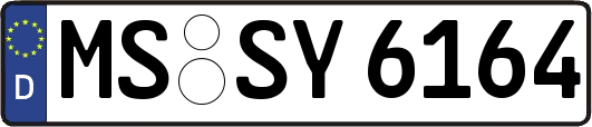 MS-SY6164