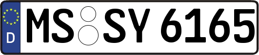 MS-SY6165