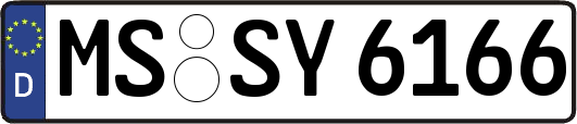 MS-SY6166
