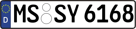 MS-SY6168