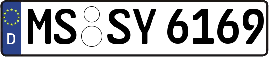 MS-SY6169