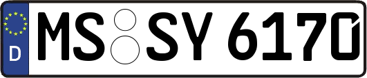 MS-SY6170