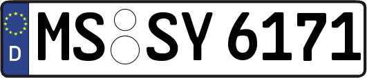 MS-SY6171