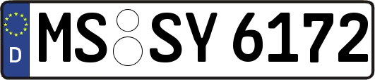 MS-SY6172