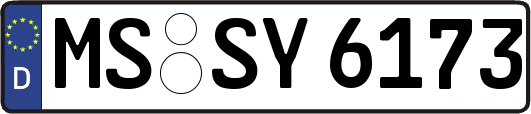 MS-SY6173