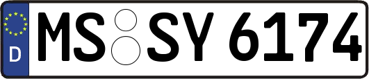 MS-SY6174