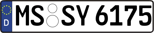 MS-SY6175