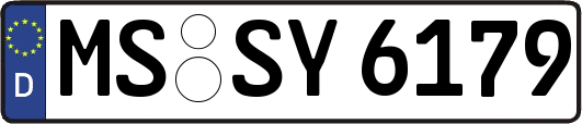 MS-SY6179