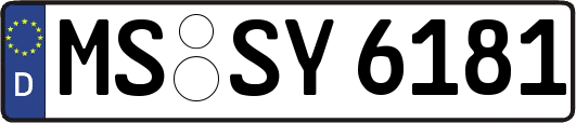 MS-SY6181