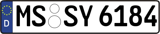 MS-SY6184