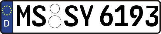MS-SY6193