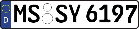 MS-SY6197