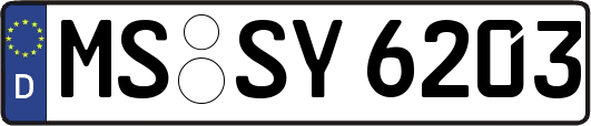 MS-SY6203