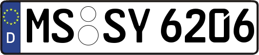 MS-SY6206