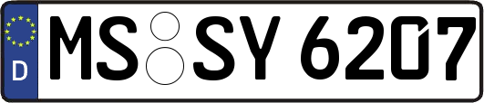 MS-SY6207