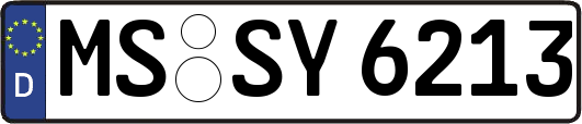 MS-SY6213