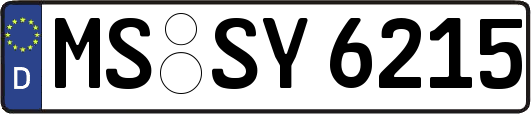 MS-SY6215
