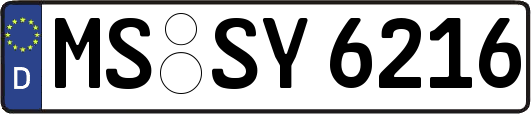 MS-SY6216