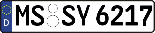 MS-SY6217