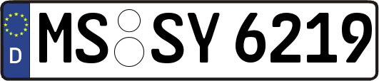 MS-SY6219