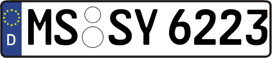MS-SY6223