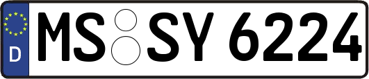MS-SY6224
