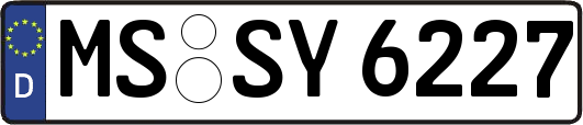 MS-SY6227
