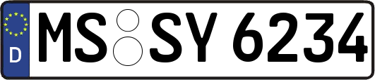 MS-SY6234
