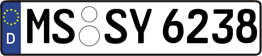 MS-SY6238