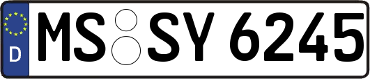 MS-SY6245