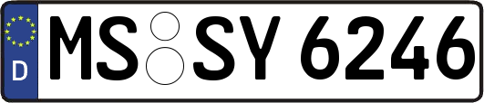MS-SY6246
